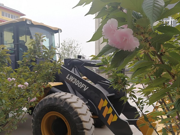 櫻花樹(shù)下的徐工裝載機