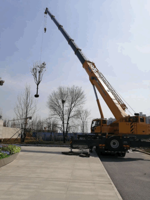 徐工XCT85噸汽車(chē)起重機吊大樹(shù)