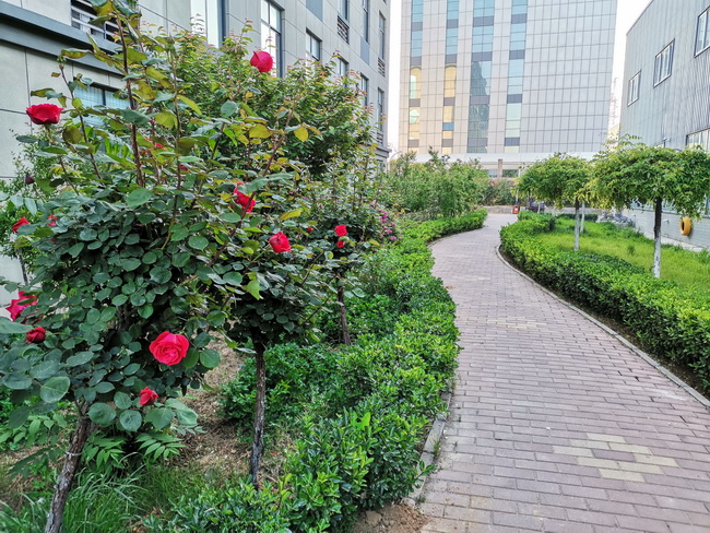 河南路友機械院內鮮花開(kāi)放