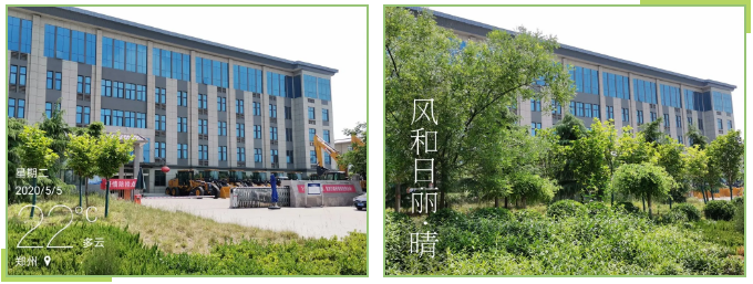 綠樹(shù)環(huán)繞中的河南路友機械辦公樓